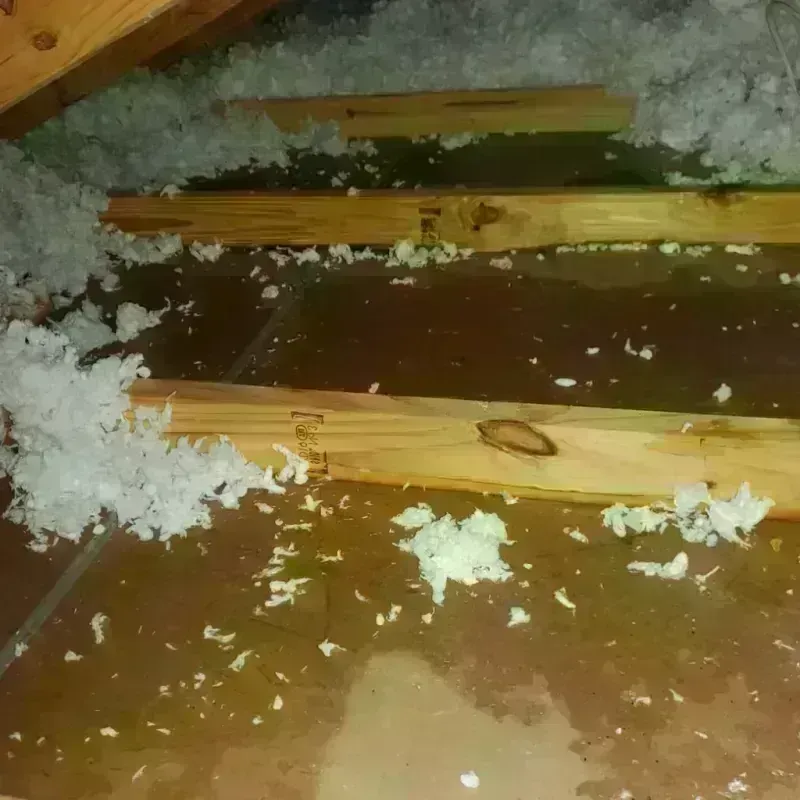 Attic Water Damage in Girardville, PA